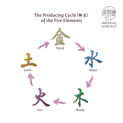 五行 英文|Five Elements (五行) in Chinese Metaphysics